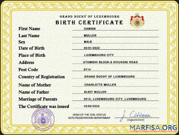 Realistic Luxembourg vital record birth certificate PSD template